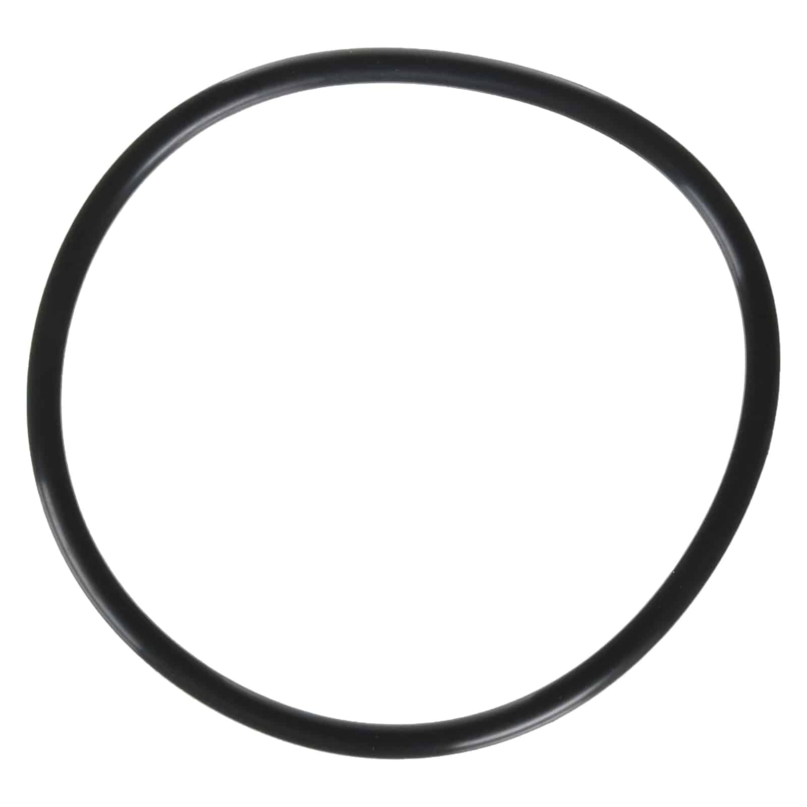 Zodiac Lid O-Ring Replacement for Zodiac Jandy FloPro FHPM Series Pump Part Number R0480200