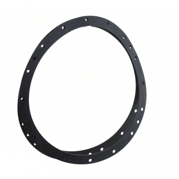 Hayward Niche Gasket