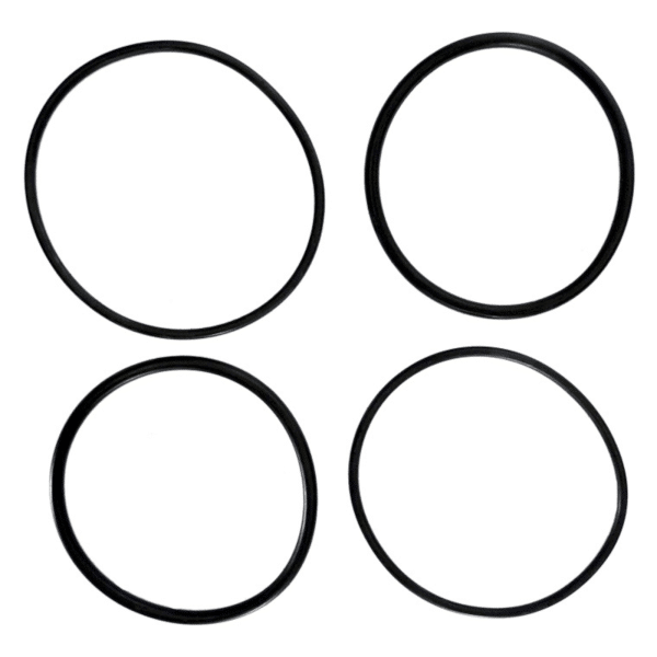 Raypak O-Ring Connector Kit